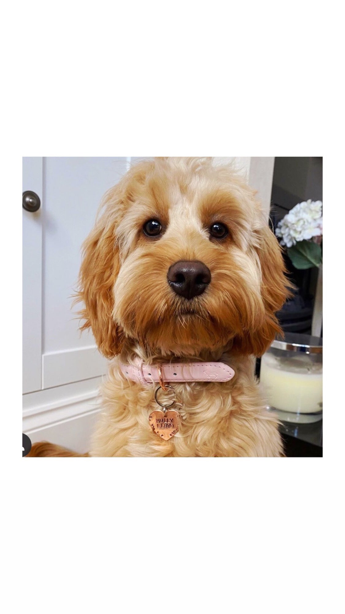 Copper Heart Dog ID Tag